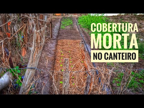 Como fazer uma cobertura morta sobre o canteiro