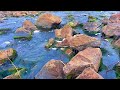 Peaceful running water flowing over stones, Relaxing mountain river sounds.