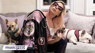 Woman Who Returned Lady Gaga’s Dogs is ARRESTED!