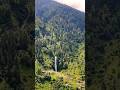 sabse  ham dur hue tumse milane ke bad 💞🥹 #song #hindisong #nature #mountains