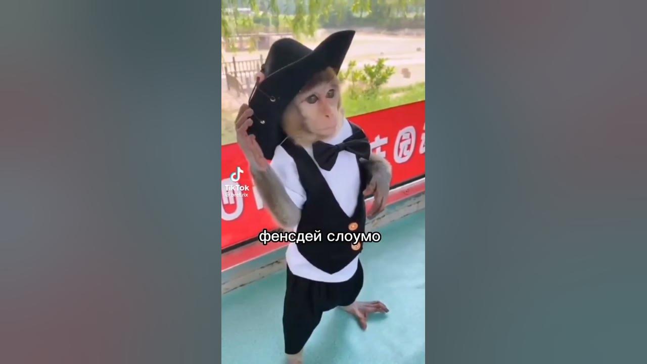 Чемпион по слоумо в Японии