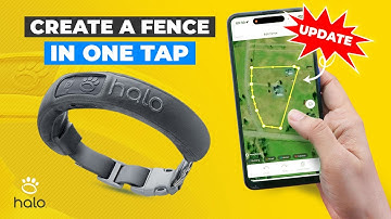 HOW TO CREATE A VIRTUAL GPS DOG FENCE IN JUST A SINGLE TAP WITH THE HALO COLLAR APP