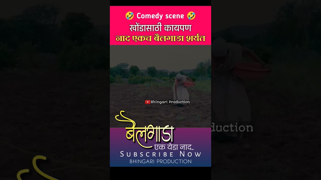 बैलगाडा एक येडा नाद | #मराठीस्टेटस  | bailgada ek yeda naad | #marathistatus #bailgadasharyat