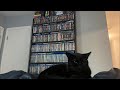 Horror Movie Blu-Ray Collection Overview Pt. 3!