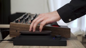 Touché & DSI Pro 2 : Pollywood Syn