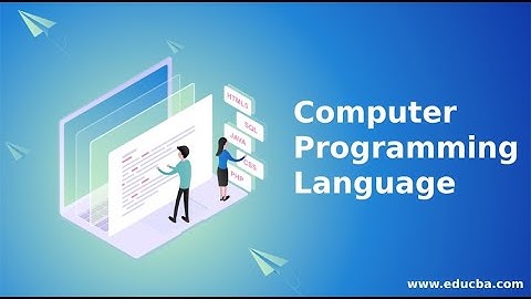 How many Programming Languages, Computer Science, Class 8th, Unit 5, Lecture 2, Computer programme