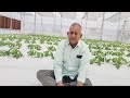 Sucess Story of Farmer Sham Singh l HADP l Exotic Vegetables l Hi tech polyhouse l Jammu
