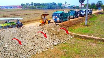 Start A New Project Filling Rice Field!! Strong Bulldozer Pushing Soil Into rice field & 5ton truck.