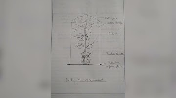 PRACTICAL FILE OF BOTANY (PLANT PHYSIOLOGY) B.Sc. 3rd YEAR