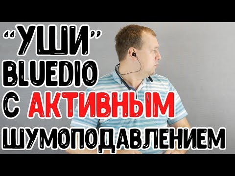 Компактные наушники с АКТИВНЫМ шумоподавлением   Bluedio TN2