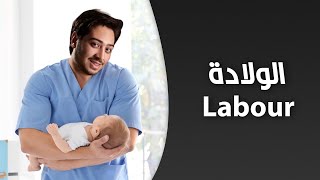 نطق مصطلحات الولادة بالإنجليزي | نطق أمريكي