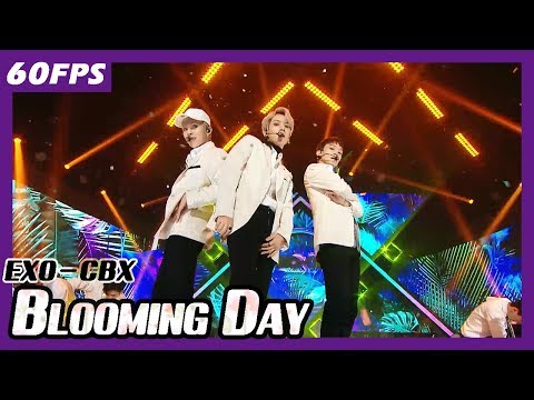 60FPS 1080P | EXO-CBX - Blooming Day, 엑소-첸벡시 - 花요일 Show Music Core 20180414