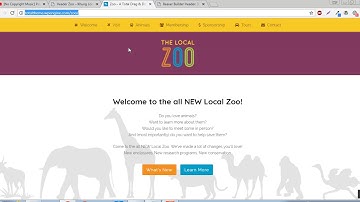 (Beaver Header) Style 1 - Zoo - Total WordPress Theme