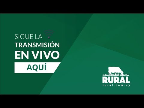 camera iphone 8 plus apk 14/10/2019 La Rinconada de Ignacio Acosta - Escritorio Alori y Cia.