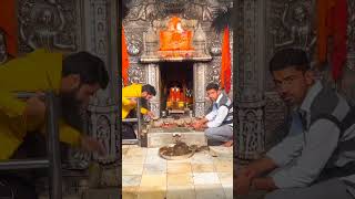 karni mata mandir desnok bikaner karnimata karni_mata_status_video