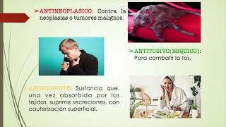 VOCABULARIO EN FITOTERAPIA by plantas y Semillas CS 277 views 2 years ago 32 minutes