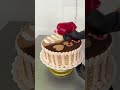 cake increible