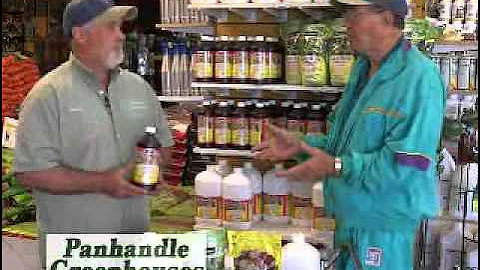 Fertilome Systemic Drench