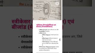 Class 12 biology chapter 2 megasporogenesis