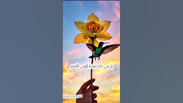 #تلاوة_هادئة #اكسبلور #راحة_نفسية #قرآن