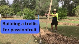 Building a trellis for passionfruit