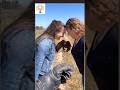 Eagle Judgement. #shorts #viral #trending