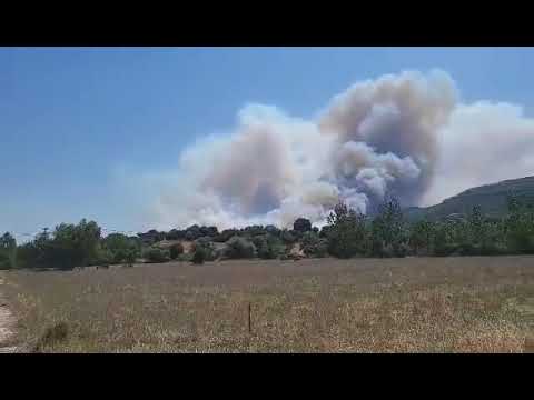 ΦΩΤΙΑ ΜΑΣΤΡΑΝΤΩΝΗ