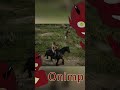 Karma #onimp #rdr2 #reddeadredemtion2