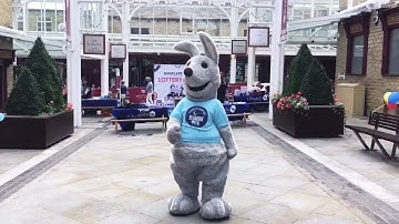 Harold the Overgate Hospice Hare