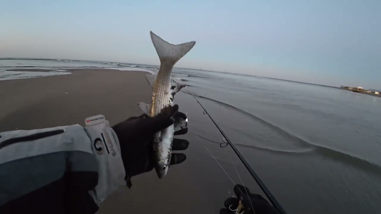 Рыбалка с берега на кефаль в Черногории.  Что делать когда нет хищника-?