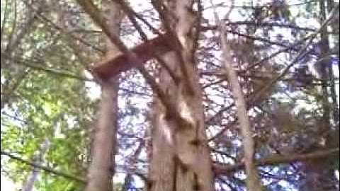 Nancy Today How to make a chair in the treetops ASMR