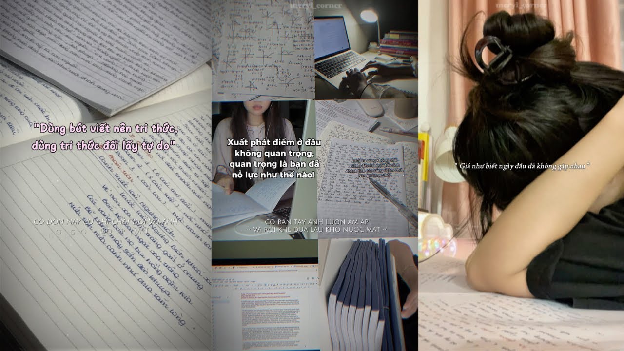 Động Lực Học Tập | Dáng vẻ nỗ lực vì ước mơ của bản thân chính là dáng vẻ rực rỡ nhất ✨ !! |meryl