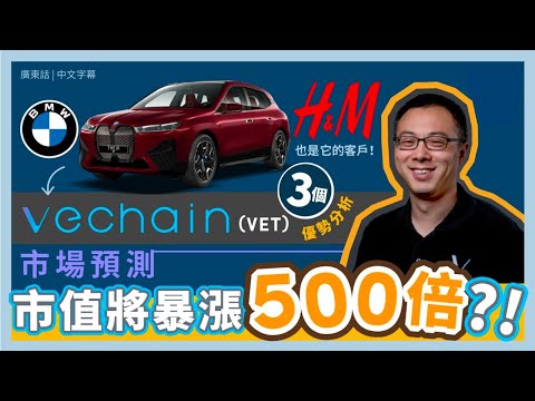 VeChain VET幣 市場預測5年內會暴漲過500倍的虛擬貨幣 連Walmart BMW H M也是它的客戶 3個VET前景優勢分析 香港概念幣 廣東話 香港 