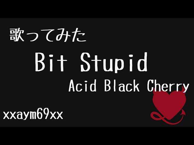 Bit StupidAcid Black Cherry