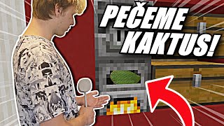 DOKÁŽU UDĚLAT Z KAKTUSU BARVIVO JAK V MINECRAFTU???|Craftíme IRL#1/w@Morryeej a @lipomeister|