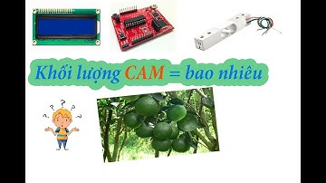 Hướng dẫn  Loadcell 1 Kg giao tiếp với MSP430G2553 hiện  khối lượng lên LCD 16x2| Đam Mê Điện Tử