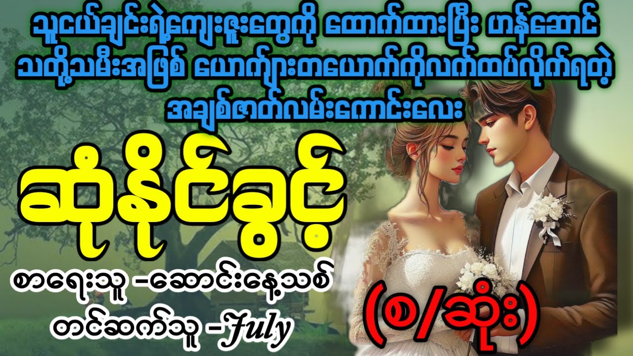 ဆုံနိုင်ခွင့်(စ/ဆုံး) #Aster Audio Channel #july #novel #audiobook #love