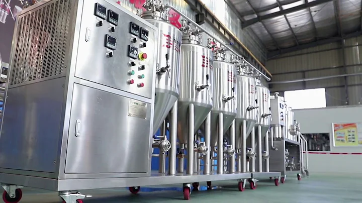 easy home brewing 50L/60L/100L Complete mini brewing equipment