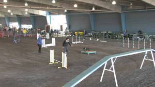 AKC Jan 8 2012 Standard Novice