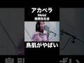 アカペラの緑黄色社会/Mela!に鳥肌がやばい...!!【THE FIRST TAKE】