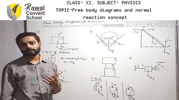 CLASS-XI SUBJECT-PHYSICS, TOPIC-Free body diagrams and normal reaction concept, RAWAL CONVENT SCHOOL