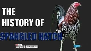 HISTORY OF SPANGLE GAME FOWL☺️