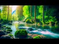 Relaxing Music to Relieve Stress, Anxiety and Depression 🌿 Peaceful Soothing Instrumental Music