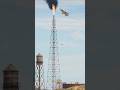 Larde Scale Payload Simulationwn  Breakdo#my #comedy #funny #song #love #