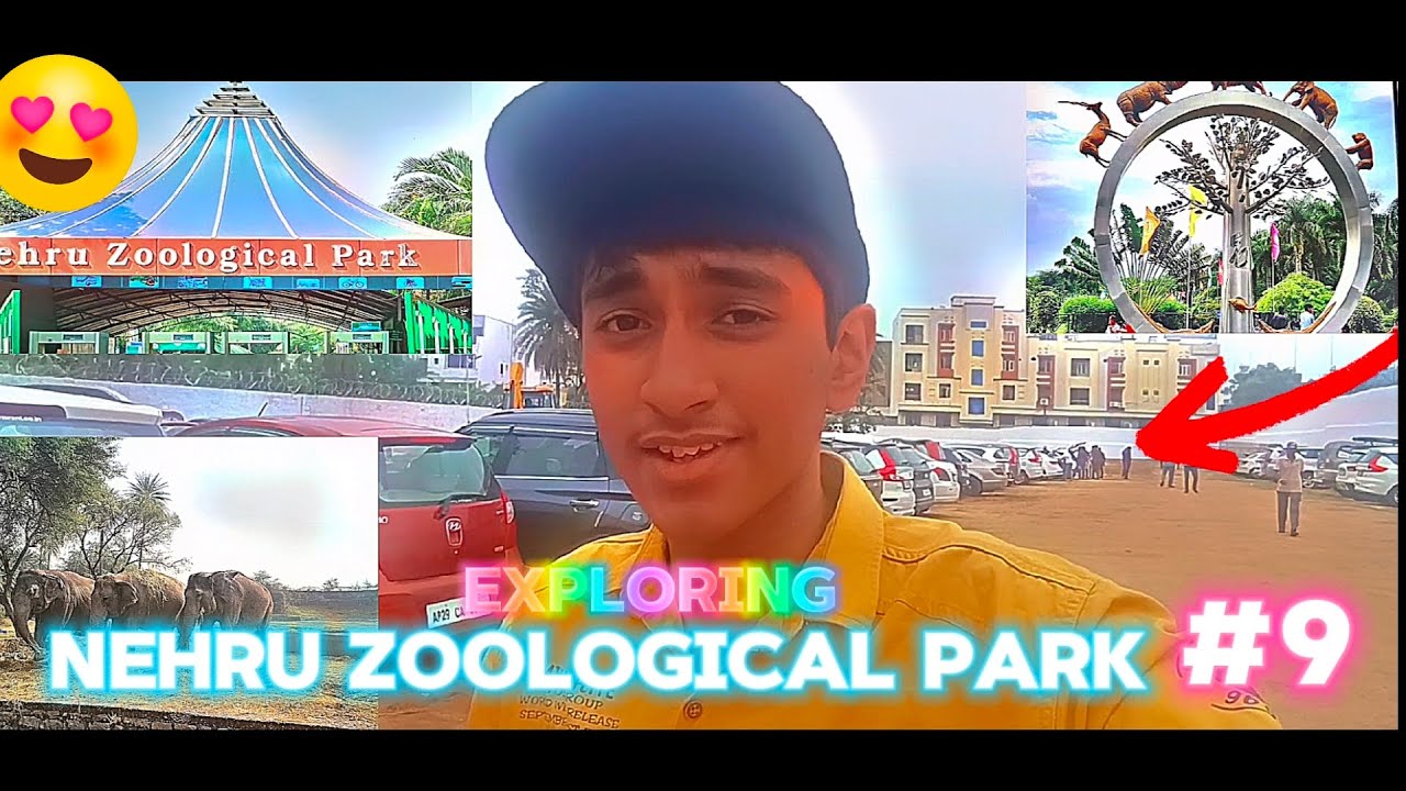 Exploring Nehru Zoological Park | The Biggest Zoo Park Of Hyderabad | Vlog #9 | Its Your Vlogger 79