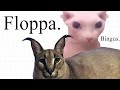 The history of big floppa  bingus