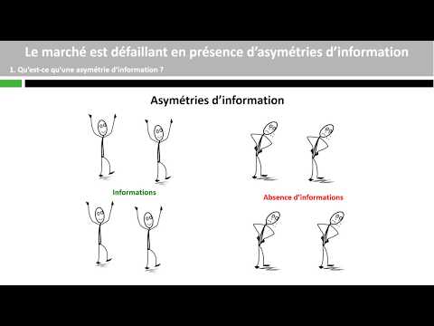 Vidéo: Est-ce que l'asymétrie a un impact sur le modèle ?