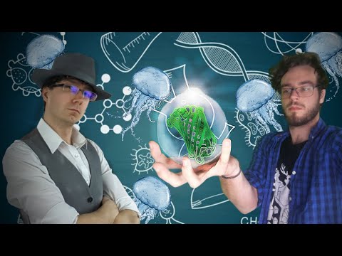 Vidéo: Pour la protéine fluorescente verte ?