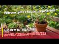 Diese vergessenen Heilpflanzen wachsen GRATIS im Garten – Warum Portulak wertvoller als Spinat ist