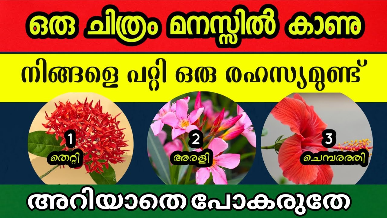തെറ്റി  , അരളി , ചെമ്പരത്തി ഇതിൽ നിന്നും ഒരു ചിത്രം തിരഞ്ഞെടുക്കു ! നിങ്ങളെ പറ്റി ചില രഹസ്യമുണ്ട്